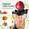 Cold Press Slow Juicer Commercial Juicer Machine Cold Press for Vegetable Fruit