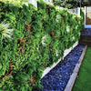 Artificial Living Wall Spring Hedge Plant Panel In / Outdoor UV Stable 100x100cm