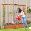 Outdoor Plant Container for Vine Climbing Plants