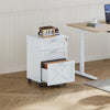Mobile Filing Cabinet, File Cabinet with 3 Drawers Lockable Documents Storage