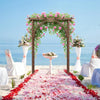 Wooden Garden Arch Plant Climbing Trellis Wedding Arbor for Patio Lawn Backyard