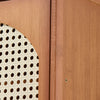 Bamboo 2-Door Shoe Storage Cabinet Rattan Doors Entryway Organizer Shoe Shelves