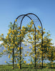 Metal Garden Arch Trellis with Ground Stake Wedding Archway for Climbing Plant