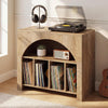 Modern Record Player Stand with Storage, 2-Tier Vinyl CD Media Storage Cabinet