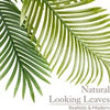 Artificial Areca Palm Tree Natural Looking Faux Plant in Pot 2ft 3ft 4ft 5ft 6ft
