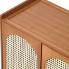 Bamboo 2-Door Shoe Storage Cabinet Rattan Doors Entryway Organizer Shoe Shelves