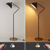 Adjustable Black & Gold Floor Lamp