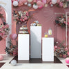 Square Metal Plinth Cylinder Dessert Pedestal Wedding Cake Flower Display Stand