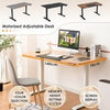 Stand-up Ergonomic Computer Workstation Electric Standing Desk Black
