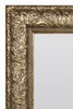 Extra Large Mirror Gold Ornate Leaner-Wall 168x77cm Antique Style MirrorOutlet
