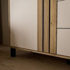 1-Door 3-Drawer Chest - Modern Storage Unit, Wooden Frame, Stylish Design