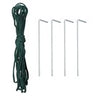 Walk in Polytunnel Garden Greenhouse Window Door Outdoor Plant Flower 6 x 3M