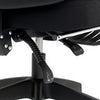 Mesh Ergonomic Office Chair with Lumbar Support, Headrest, Black