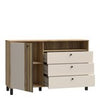 1-Door 3-Drawer Chest - Modern Storage Unit, Wooden Frame, Stylish Design