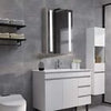 LED Bathroom Mirror Cabinet with Shaver Socket Demister Sensor Lights Vertically