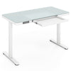 120 x 60 CM Whole-Piece Glass Standing Desk w/ USB Type-C Outlets White