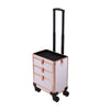 Rolling 5 in 1 Makeup Trolley Beauty Trolley Case w/Drawers Hairdressing Case