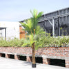 200cm/6.5FT Artificial Palm Tree Fake Plant in Pot Indoor Outdoor Décor