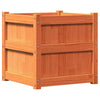 Camerina Garden Planter Wax Brown 50x50x50 Solid Wood Pine,Garden L1P3