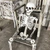 Full Life Size Human Skeleton Halloween Prop Poseable Halloween Party Decoration