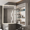 Wall Mounted Mirror Cabinet Bathroom Mirror Cupboard Dimmable Anti-fog w/ Shelf