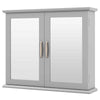 Bathroom Wall Cabinet 2-Tier Medicine Cabinet Storage Organizer with Mirror