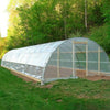 Greenhouse Polythene Plastic Cover UV5 Clear Poly Film 10m x 4m for Horticulture