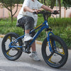 20" Brand New 20 inch Bike Boys Blue Bicycle Cycling Disc Brake Kids Xmas Gifts