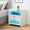 LED BedsideTable Cabinet Storage Nightstand W/Charging Station 2 Drawers White