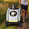Pet Stroller Pushchair 2-in-1 Folding Dog Cat Walk Travel Carrier for Car Rides