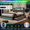 Upholstered Bed Frame Double Bed LED Lights with Storage Drawers, Headboard Grey