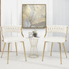 Velvet Dining Chair Set of 2 Upholstered Dining Chairs Modern Dining Chairs