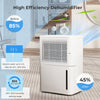 12L/D Portable Home Dehumidifier Quiet Electric Dehumidifier with 24H Timer