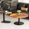 2pc Exquisite Round Coffee Table Set Heavy Duty Accent Nesting Table Metal Frame
