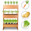 3 Tier Raised Garden Bed Wooden Elevated Planter Grow Box for Flower Herb Green