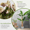 5.4 FT Tall Artificial Banana Tree Fake Banana Tree Indoor Office Decor