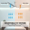 3 Blades 52inch Ceiling Fan Light 6 Speed Timer Remote Control Chandelier Silver