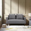 2 Seater Sofas Fabric Upholstered Loveseat Room Apartment Couch with 2 Pillows