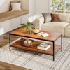 2 Tier Coffee Table with Storage Shelf Industrial Accent Tea Table Living Room