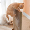Kitten Cat Scratcher Pad Cardboard Corrugated Scratching Board Pad Scratch Mat