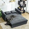 Convertible 2 Seater Sofa Bed with 2 Cushions Storage for Living Room Dark Grey