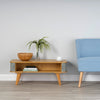 Coffee Table with Light Grey Sliding Doors 400mm H x 1000mm W x 500mm D
