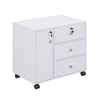 3/5 Drawer Mobile Filing Cabinets Printer Stand Pedestal Lockable Office Cabinet