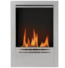 Stainless Steel Bioethanol Fire Indoor Ethanol Fireplace Insert Silver Tone New