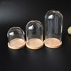 20pcs Glass Dome Display Bell Jar Cloche Wood Base Figure Action Storage Display