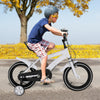 Kids Bike for 3-6 Year Old Boys Kid's Bicycle 14" with Removable Training Wheel