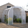 Walk-in Galvanised Frame Polytunnel Greenhouse Pollytunnel Plants Warm House