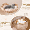 Modern Kitten Activity Center Indoor 146 cm Cat Tree w/Hammock