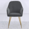 2X Dining Chairs Velvet Set Padded Seat Gold Metal Leg Kitchen Chair Home Office