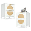 Rattan Wooden Bedside Tables Set of 2 Bedroom 2 Drawer Nightstand Side Tables